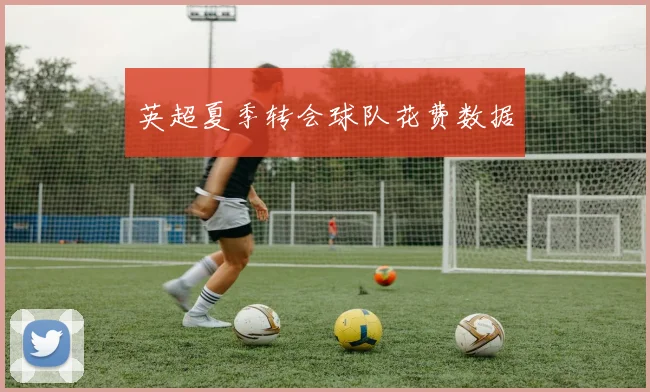 英超夏季转会球队花费数据